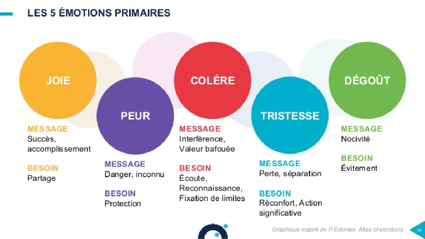 emotions fiches_Plan de travail 1